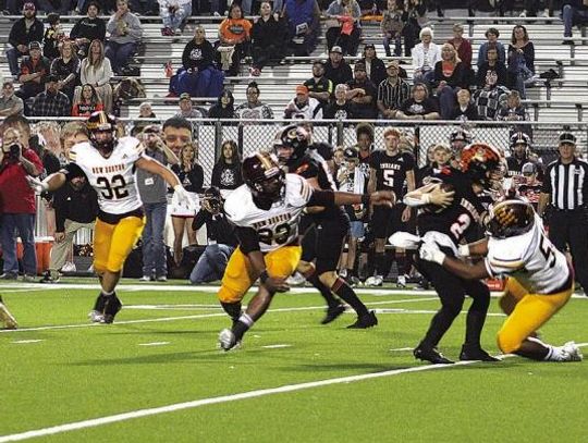 Lions athletics working towards a culture of winning