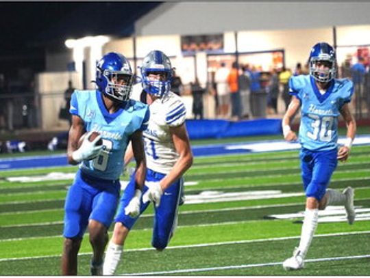 Lions, Bears and Hornets earn big wins