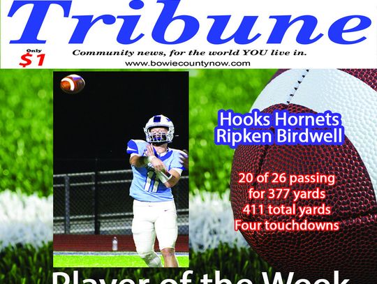 Lions earn district win, Bears fall to Tigers