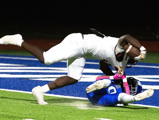 Lions earn win over Hornets, Pirates notch first win