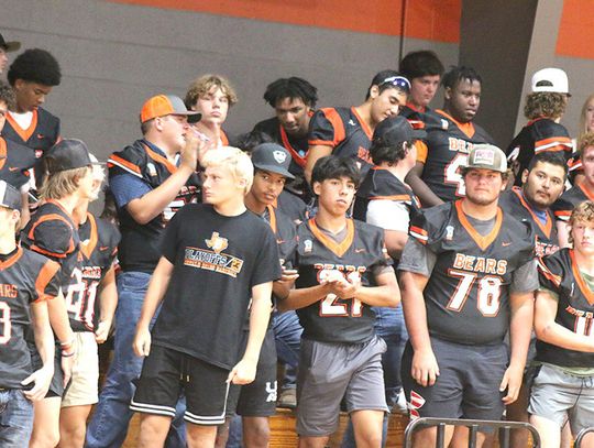 Meet the Bears