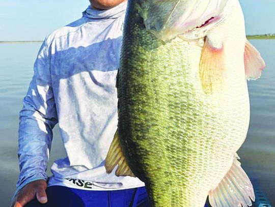 Mr. Big Fish: Texas angler on a different level with record 69 ShareLunker entries, four 13 pounders in 2024