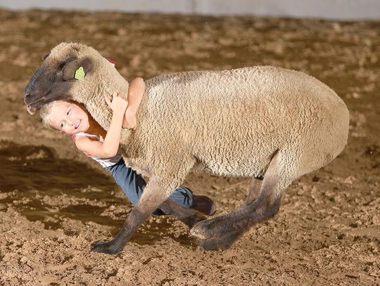 Mutton bustin’ fun for everyone saddles up for Pioneer Days Rodeo