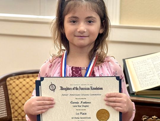 NB Elementary student wins DAR contest