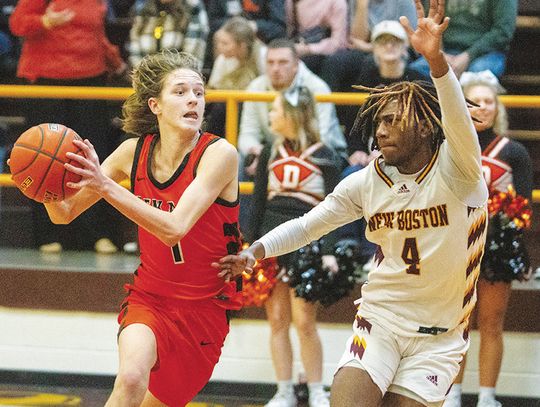 New Boston and DeKalb split district contests