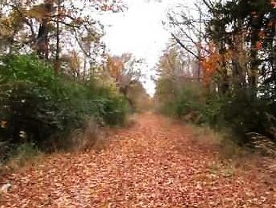 North East Texas Trail developers get a huge boost from TPWD