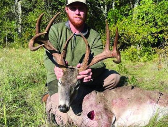 Other Texas Whoppers