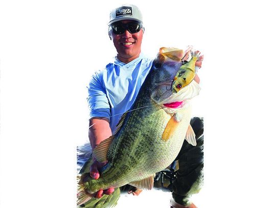 Outdoors Briefs Lee makes history with trio of 13 pound Legacy Lunkers in same collection season