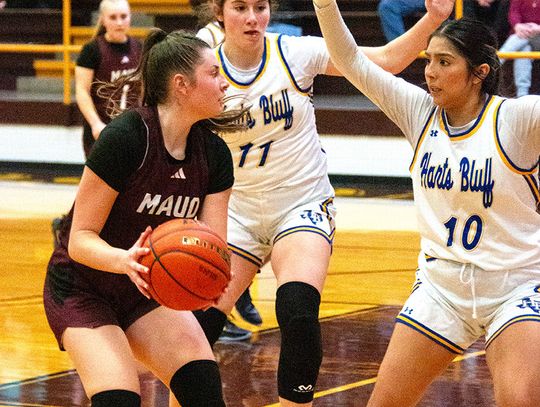 Playoffs begin for local basketball squads