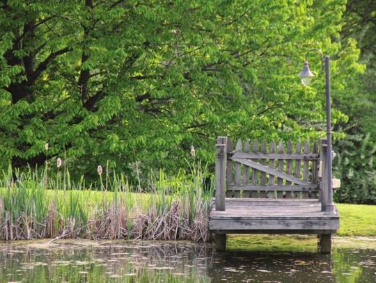 Pond maintenance crucial to water quality of East Texas watering holes