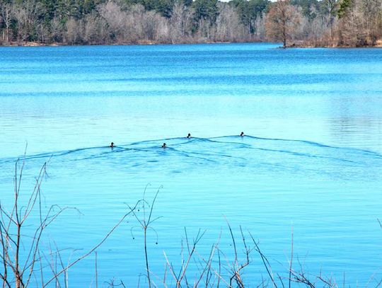 Potential sale of Lake O’the Pines water draws criticism