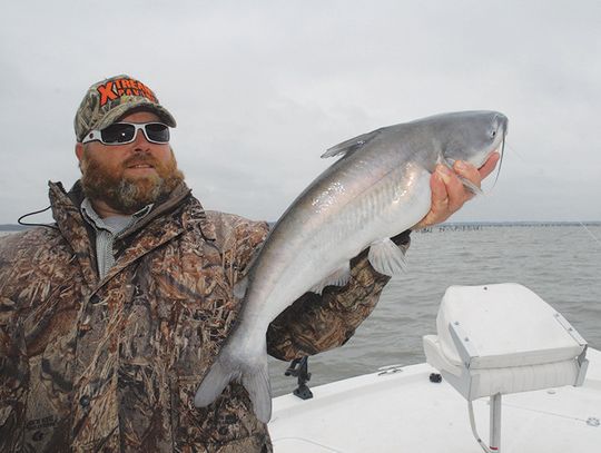 Reel Cats--A lesson plan for whiskered fish on Texas lakes and rivers