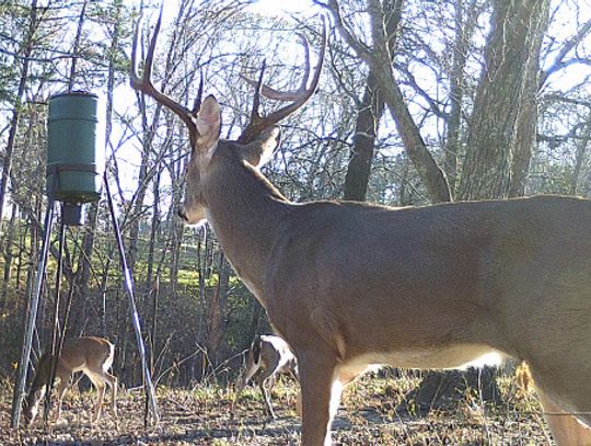 Signs of the Times-Early fall is a busy time deer hunters, archery and MLD seasons underway