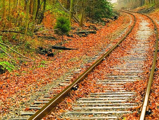 TexAmericas to upgrade park’s rail system