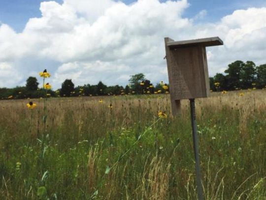Texas Master Naturalists on a mission to share a love of nature and its resources