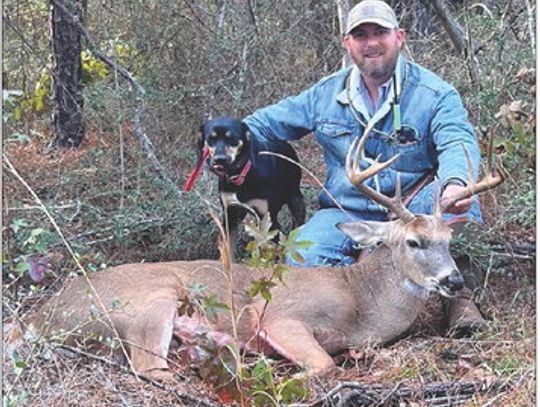 THE FALL DOGS-Handlers share advice on do’s and don’ts before bringing in a tracking dog