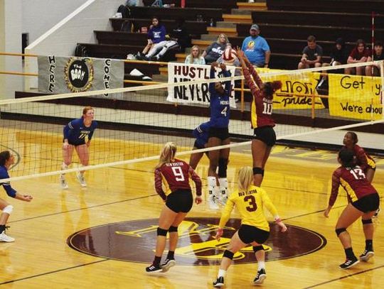 The Hooks Lady Hornets