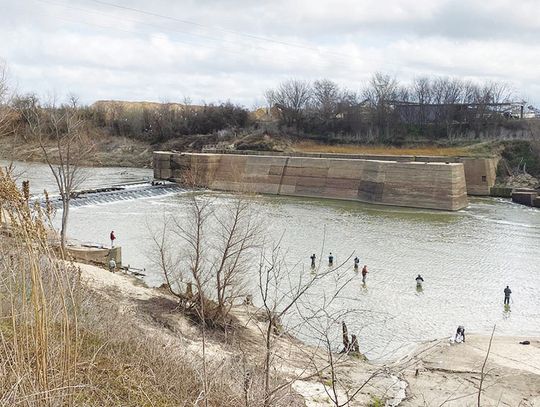 The River Wild