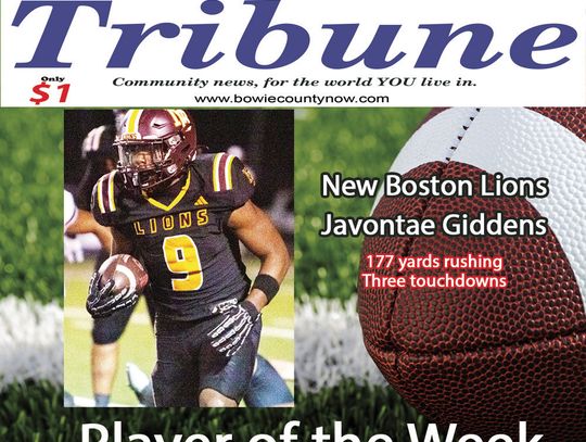 Titles, playoff spots up for grabs in last week