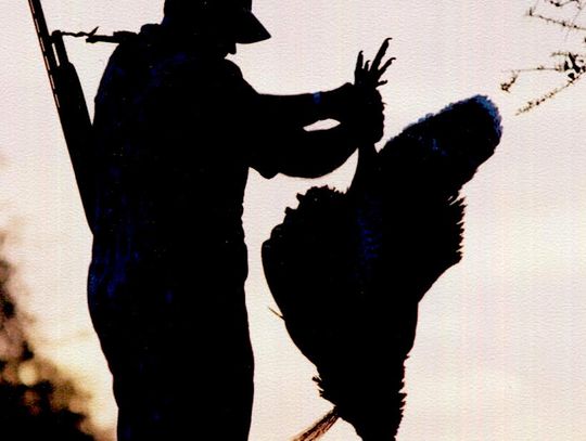 TPWD implements statewide mandatory reporting on wild turkeys, light goose conservation order nixed, more doe days for East Texas