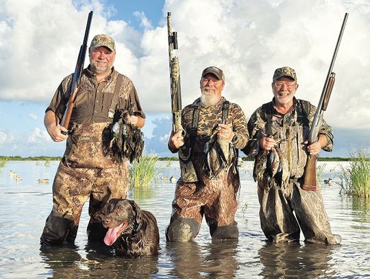Veteran waterfowl hunter offers tips sniffing out ducks, doves on public lands