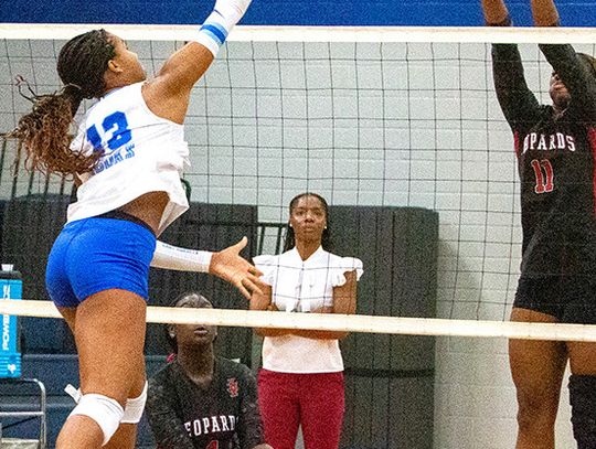 Volleyball enters district action