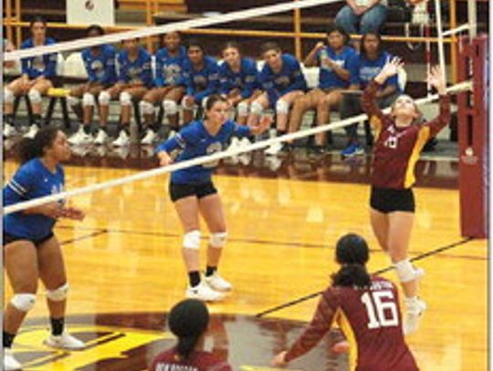 Volleyball sees district action fire up