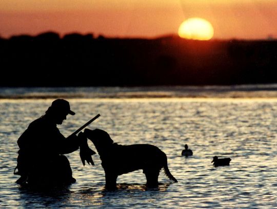 We Need Water: Not much to quack about as duck season kicks into full swing