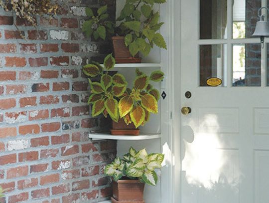 Weekend Updates for Your Landscape