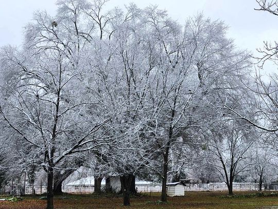 Winter weather wreaks havoc on Bowie County