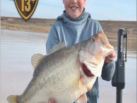 Young Guns--McKinney, 19, wrecks ‘em at Fork; 11 year old reels in 13 pounder out west