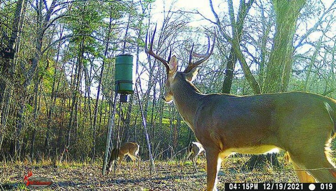 2022 Whitetail Preview