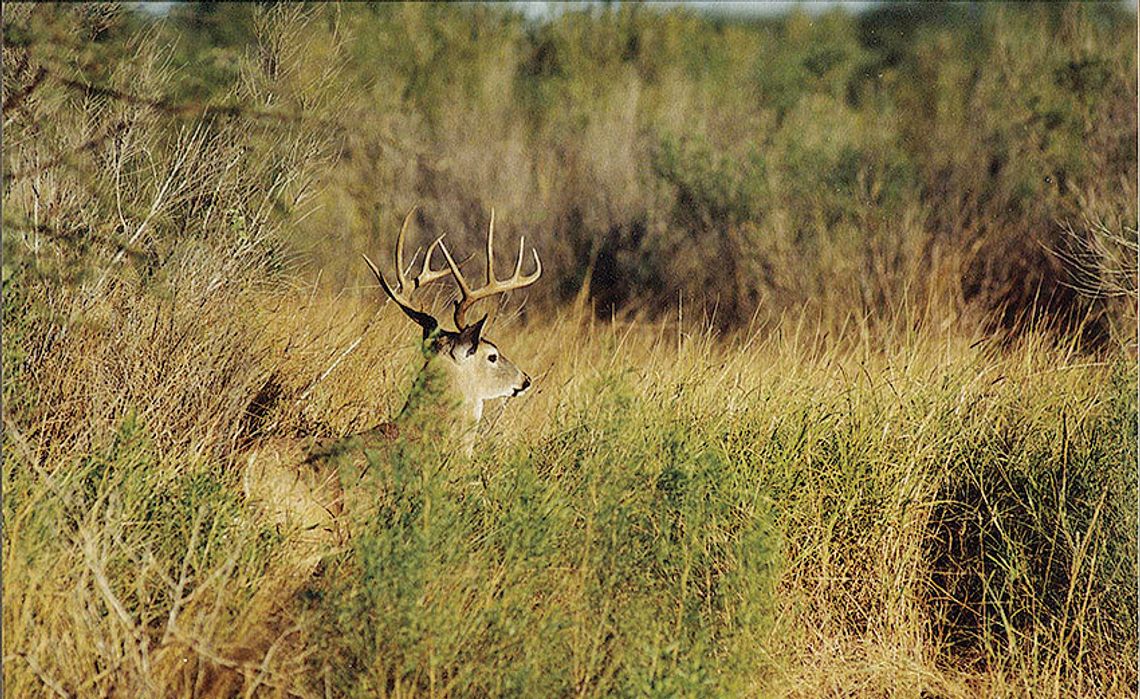 2025 Deer Hunting Preview 2025 Deer Hunting Preview