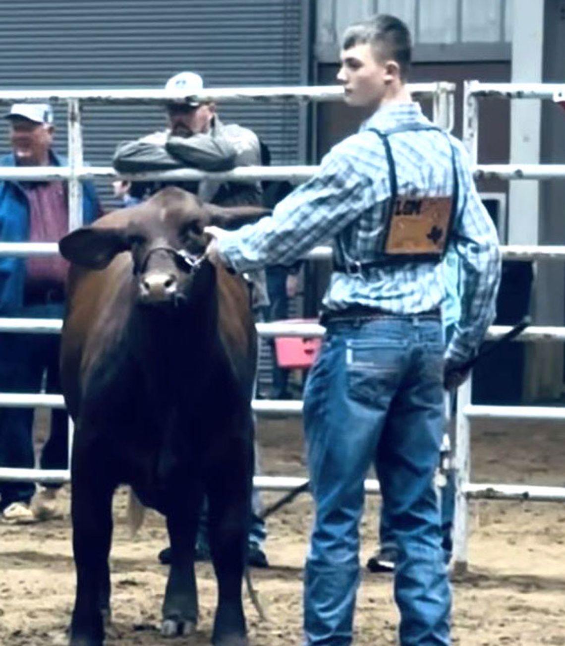 Avery FFA