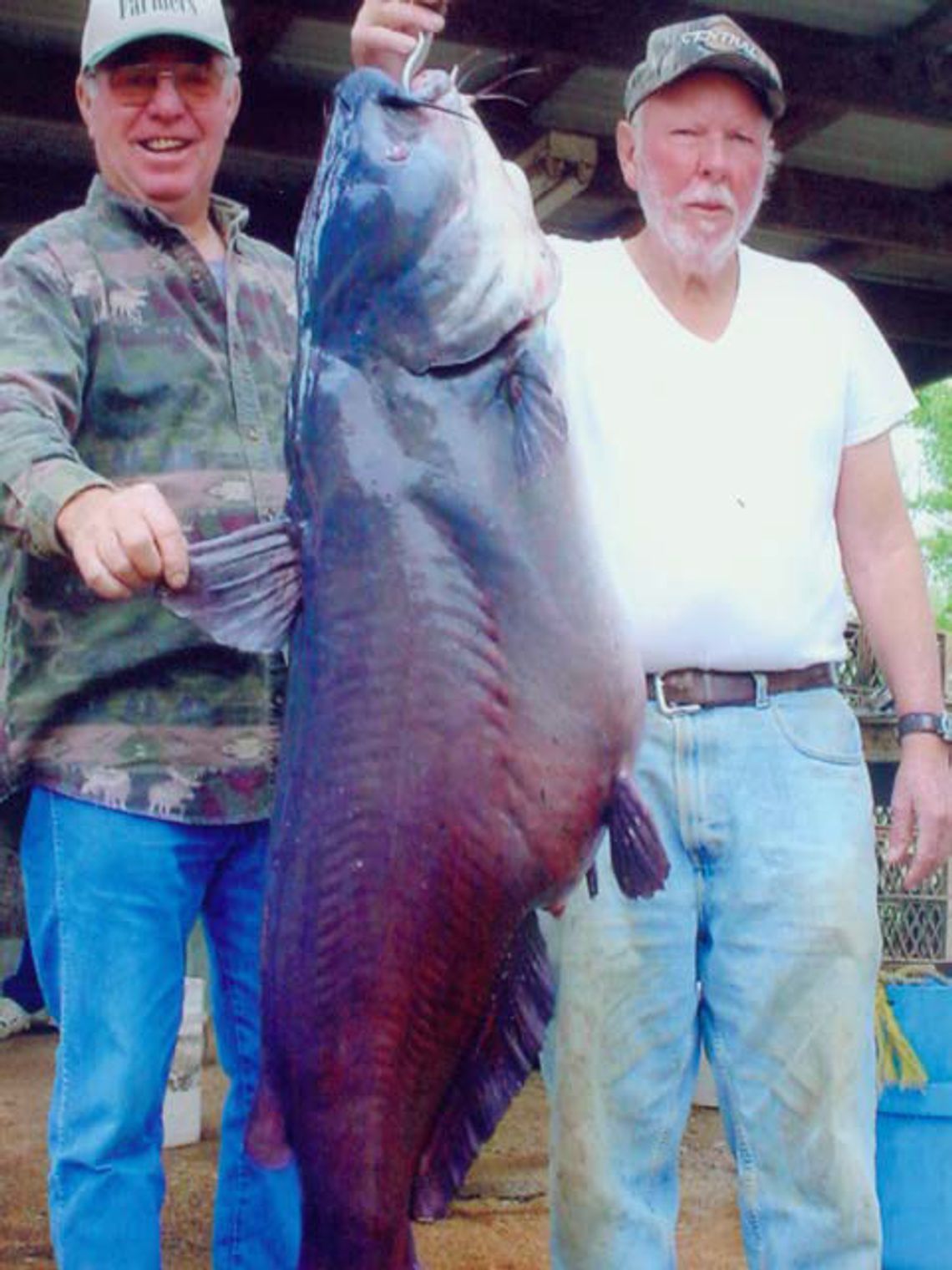 Big Kitties---The list of Texas lakes that have produced whopper-sized cats is a long one