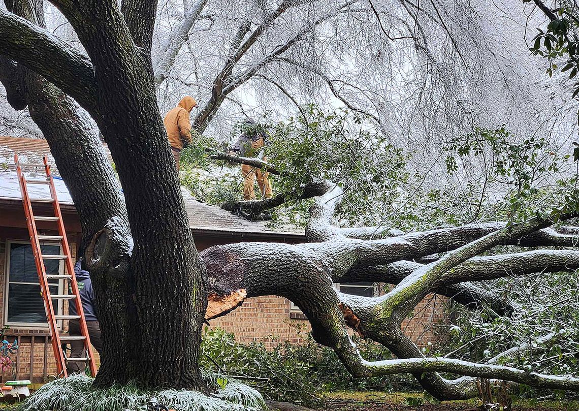 Blow, blow thou winter wind...