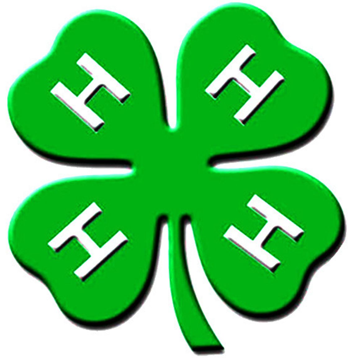 Bowie County 4-H sowing into the lives of our future generations