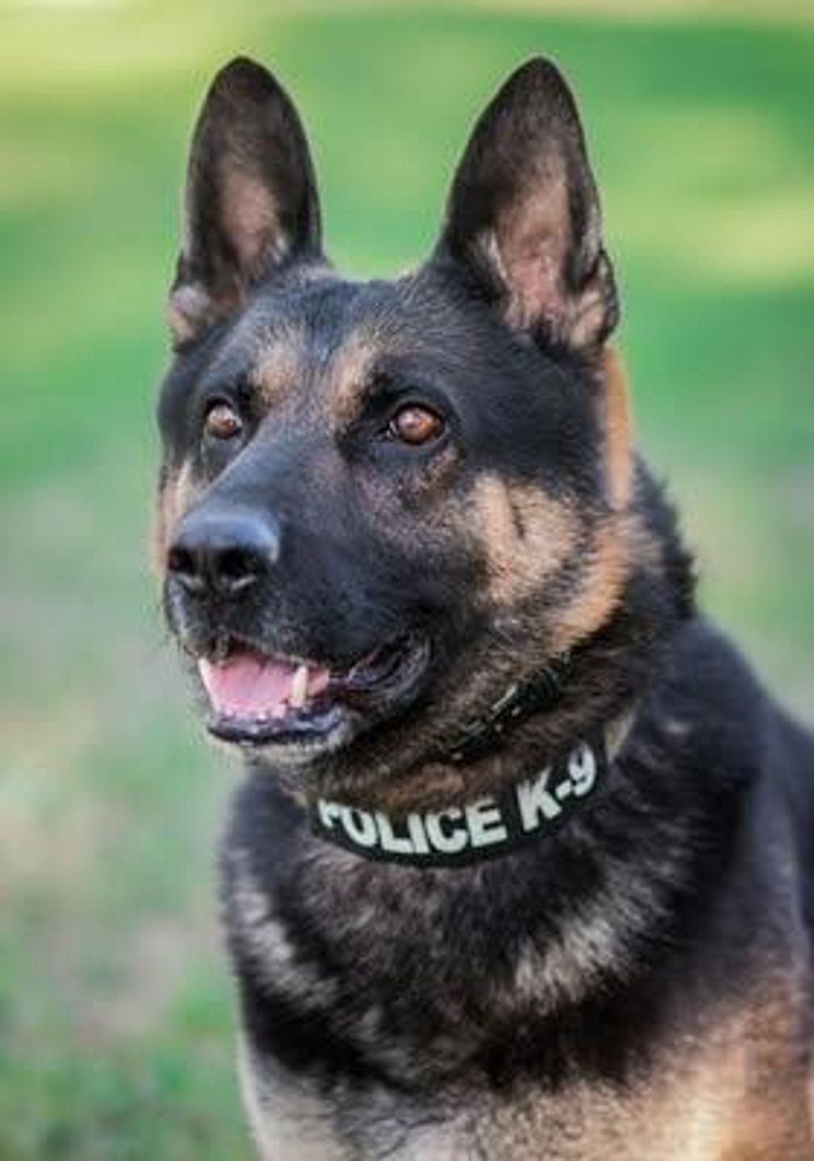 Bowie County Burglary Arrests