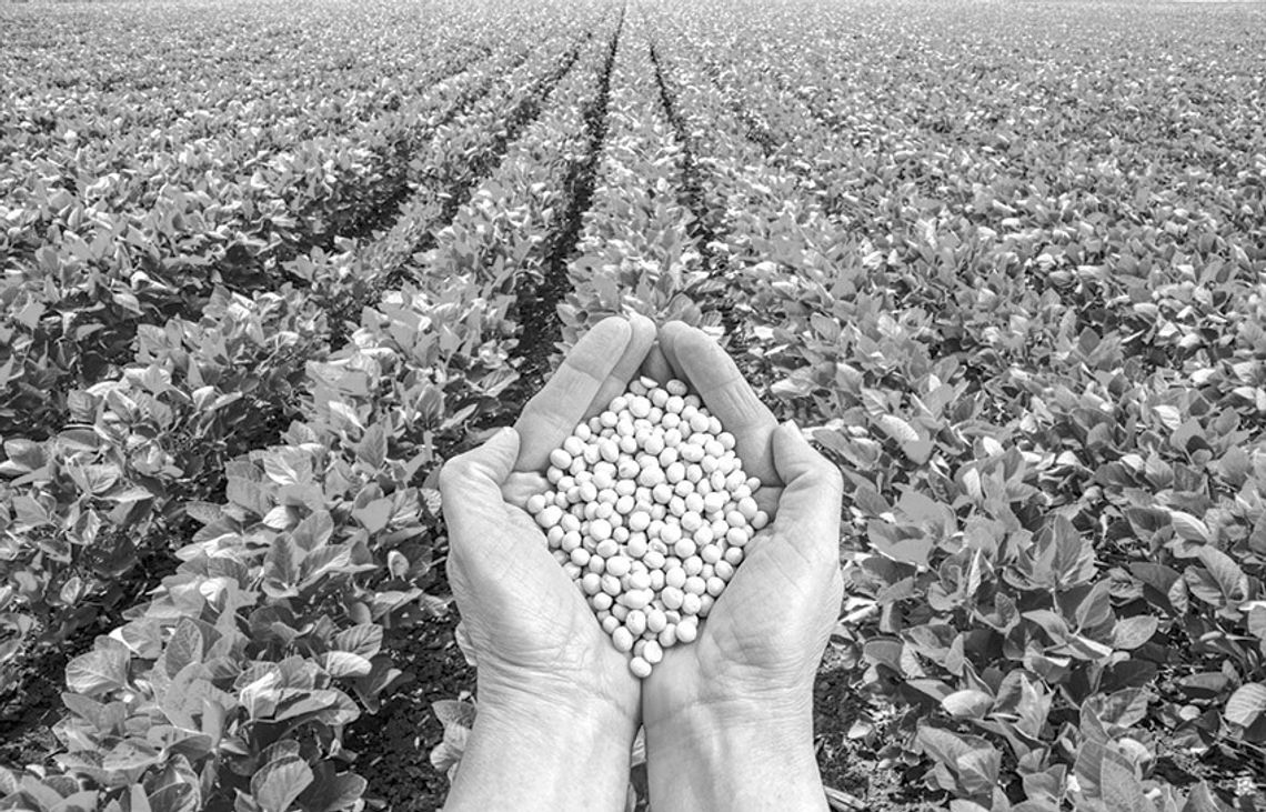 Bowie County Master Gardeners & Texas A&M – Texarkana Present:“Getting Started with Seed Saving