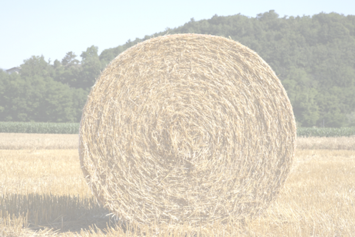 BOWIE COUNTY SWCD HAY EXPO