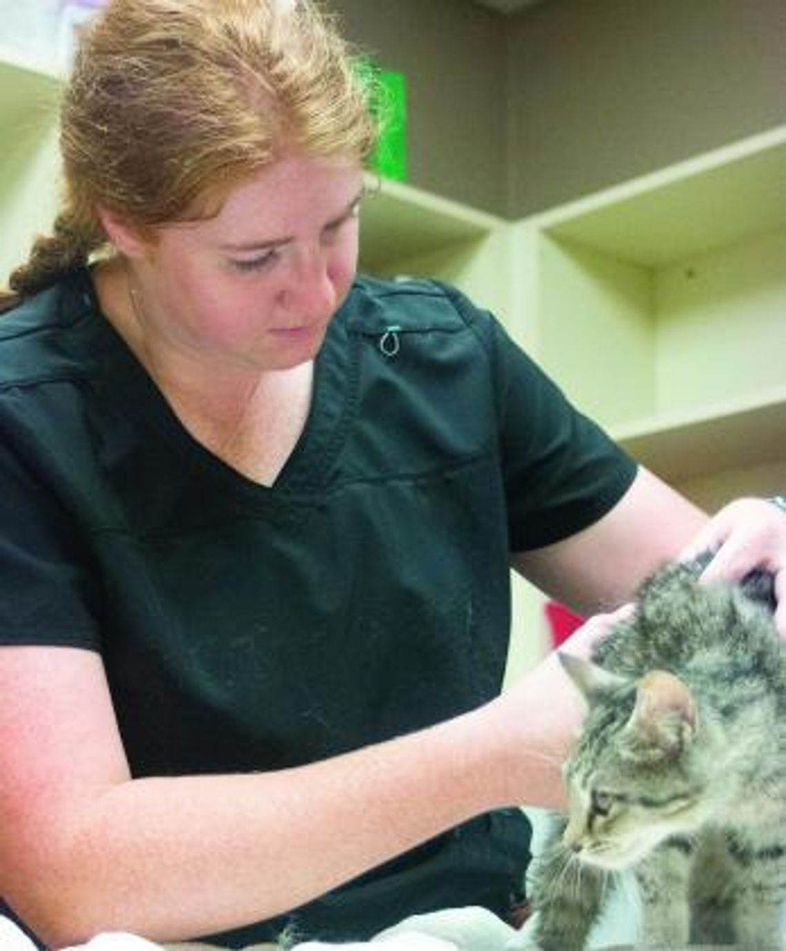 Caitlynn Moon joins team at DeKalb Animal Hospital