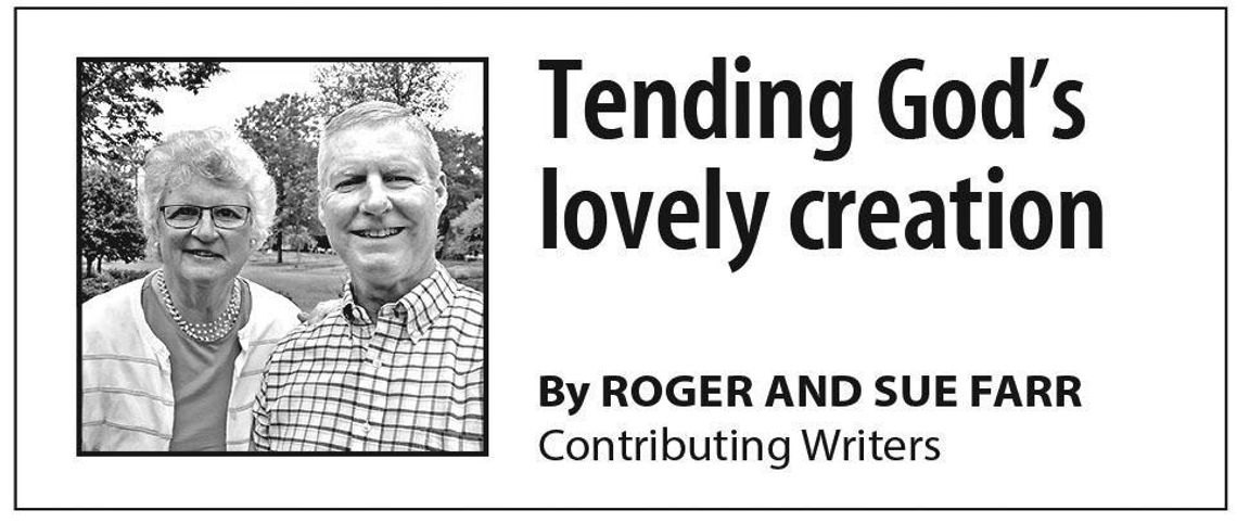 “Do Beekeepers Have Enemies?”