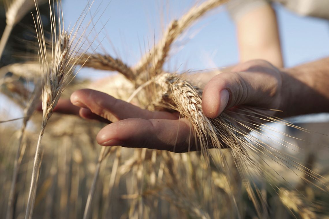 Four States Agricultural Exposition – February 12, 2026 Four States Agricultural Exposition – February 12, 2026