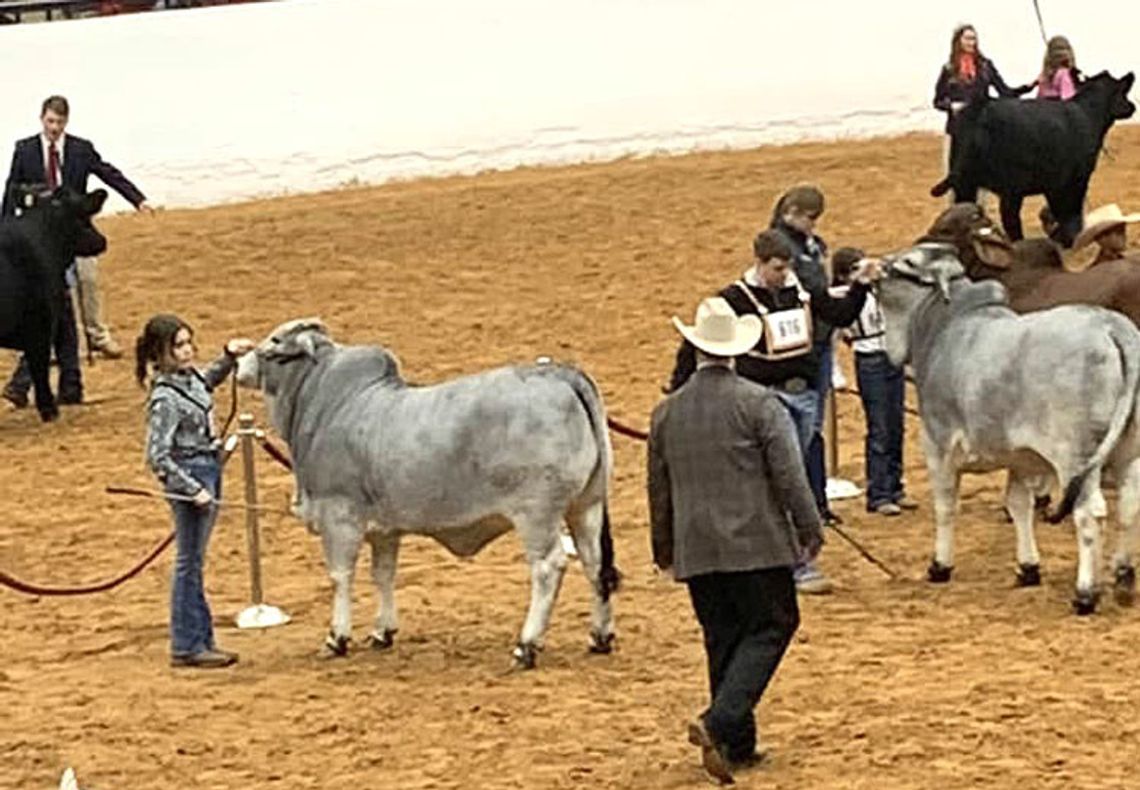 Four States Agricultural Exposition scheduled for February 13