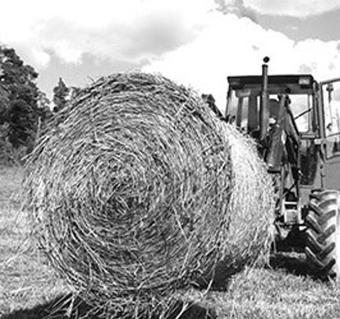 Hay Expo coming in September
