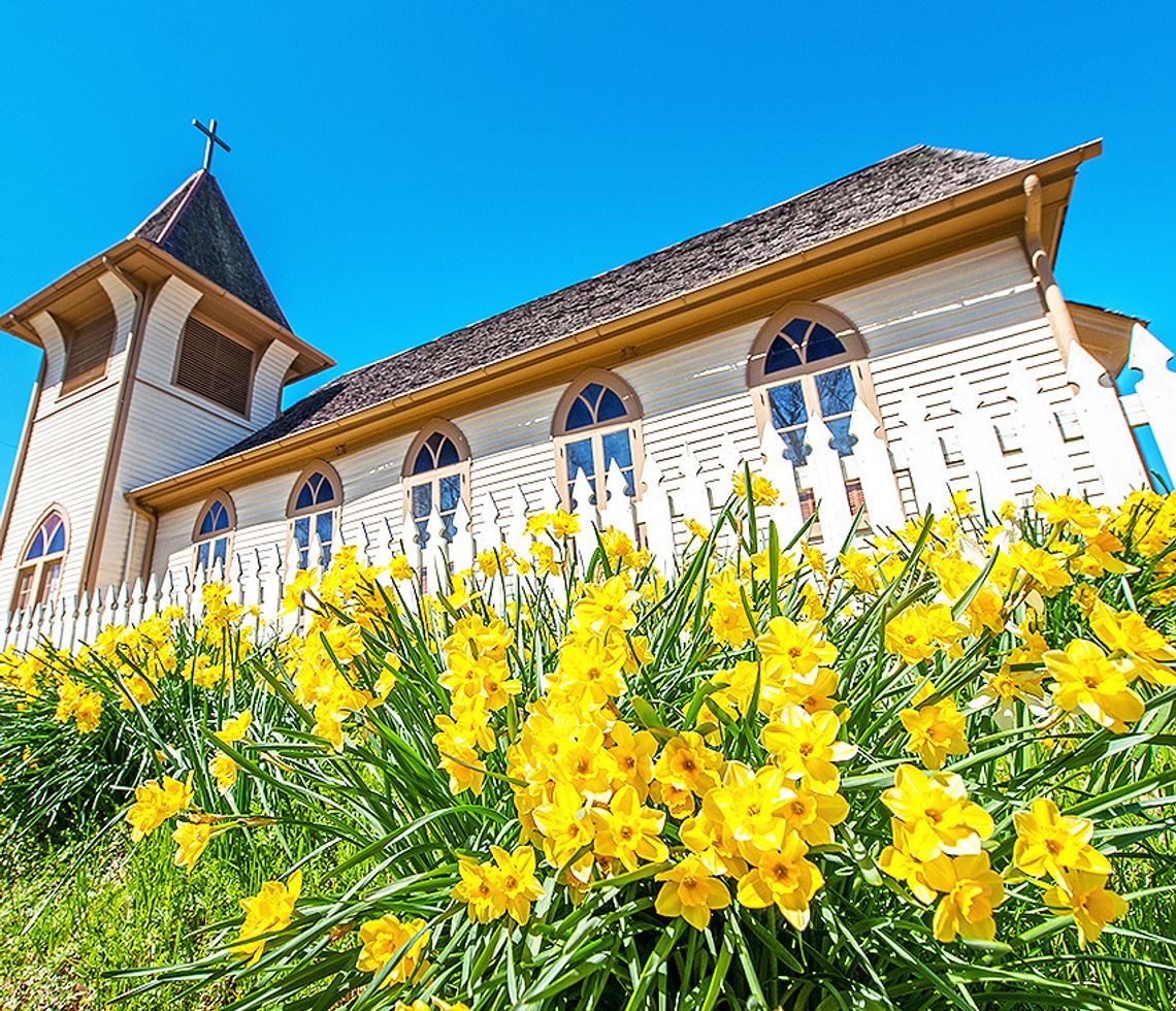 Historic Washington State Park to host 58th Annual Jonquil Festival