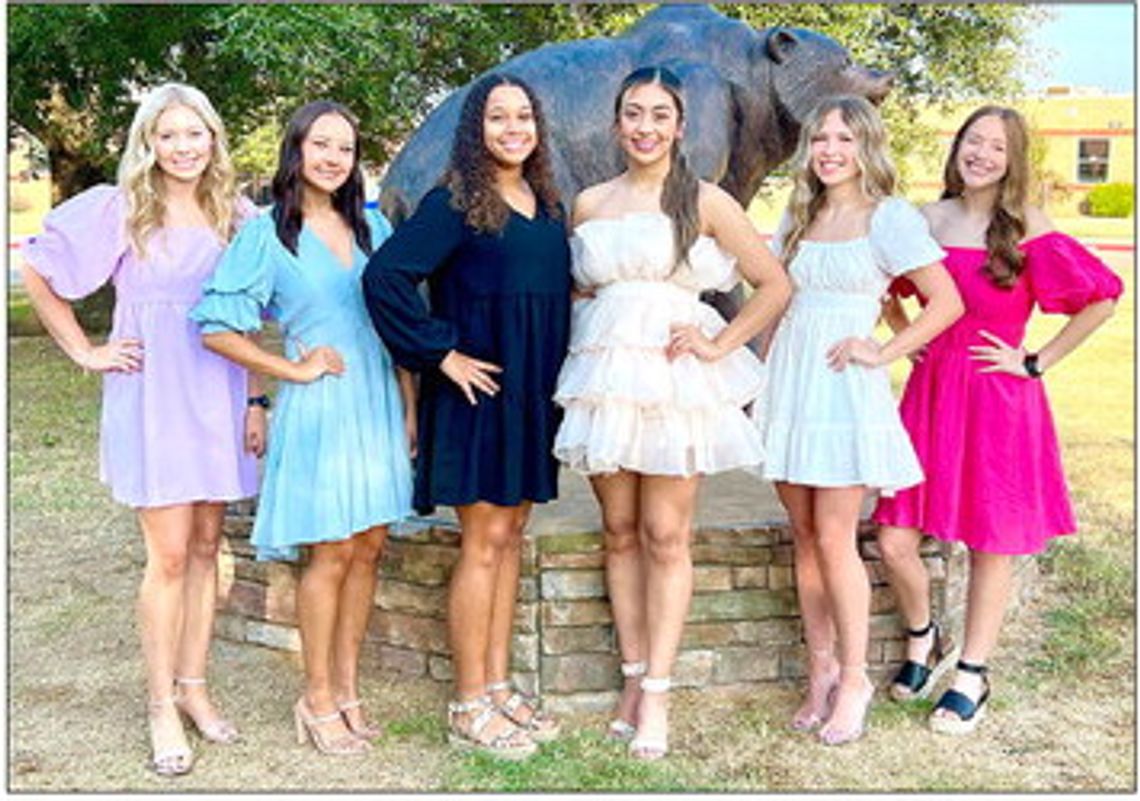 Homecoming courts named at area schools