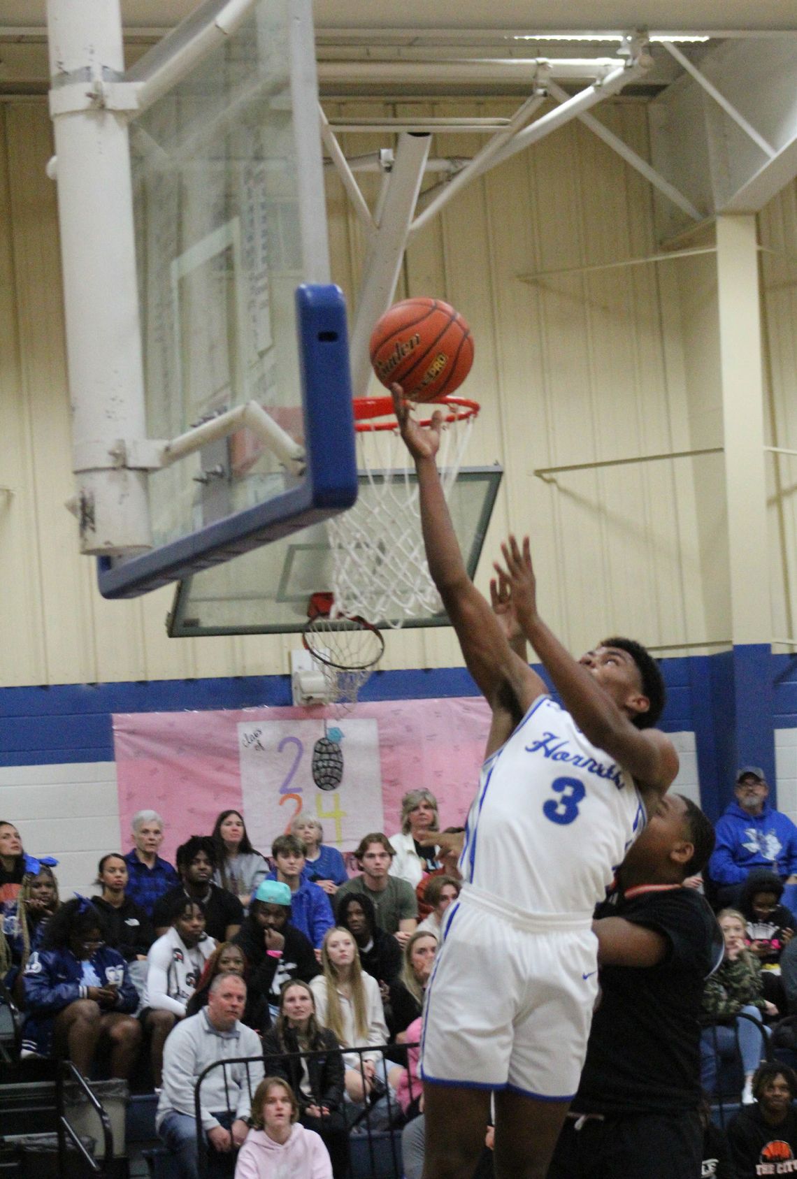 Hornets continue winning ways