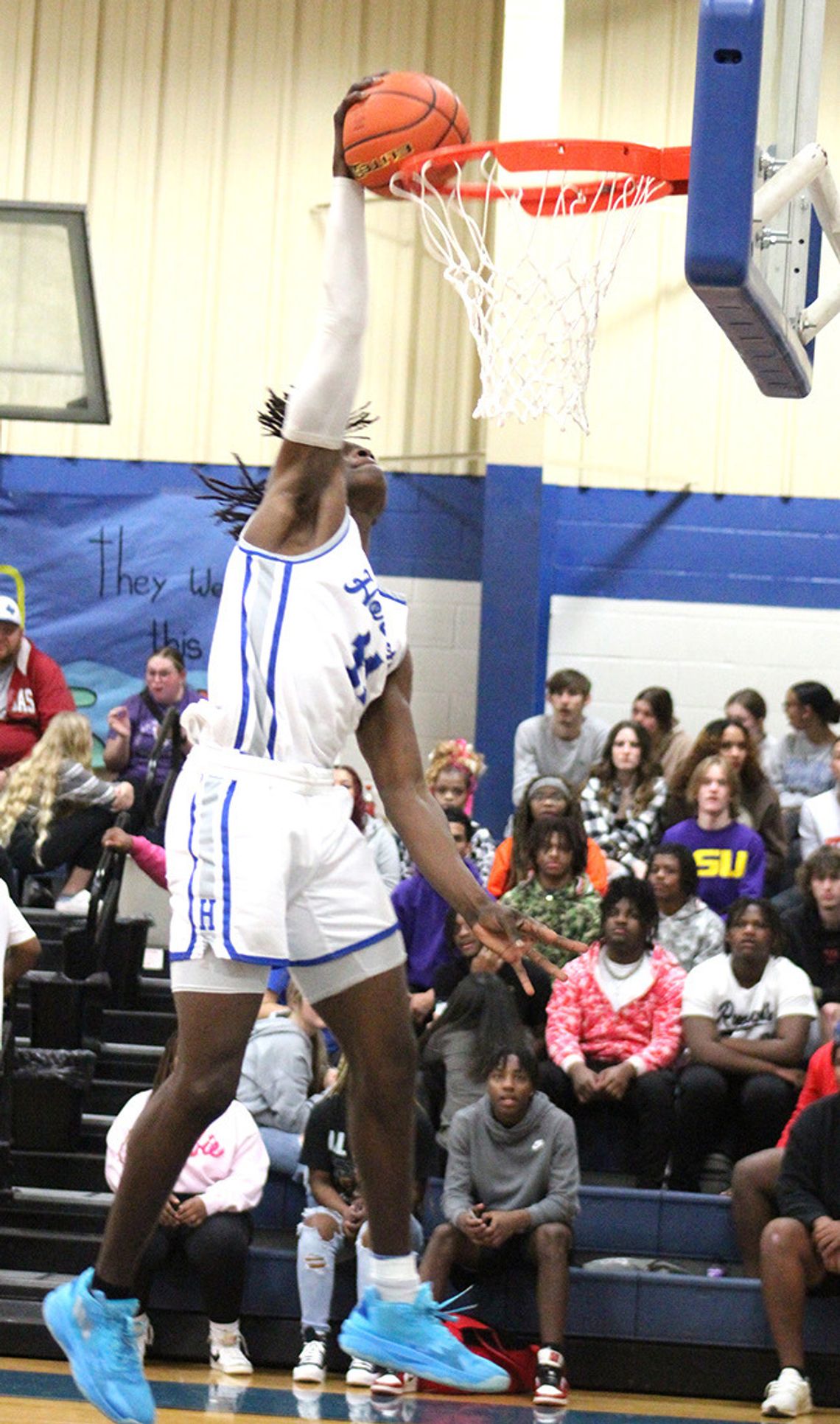 Hornets Hoops