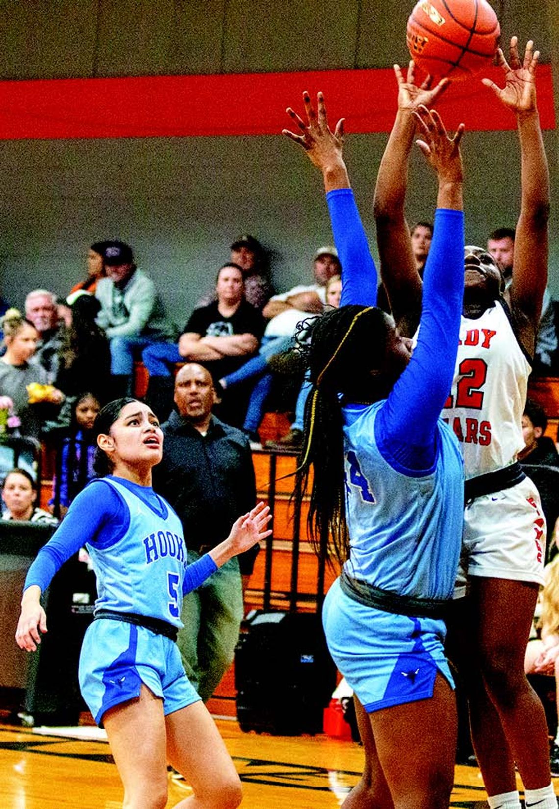 Hornets leave Bears feeling stung